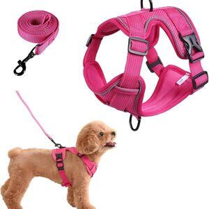 Small Dog Harness & Leash Set | Adjustable Puppy Cat Walking Vest Lead Pink XXS